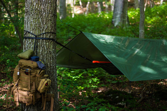 5 Essentials for Every Survival Kit