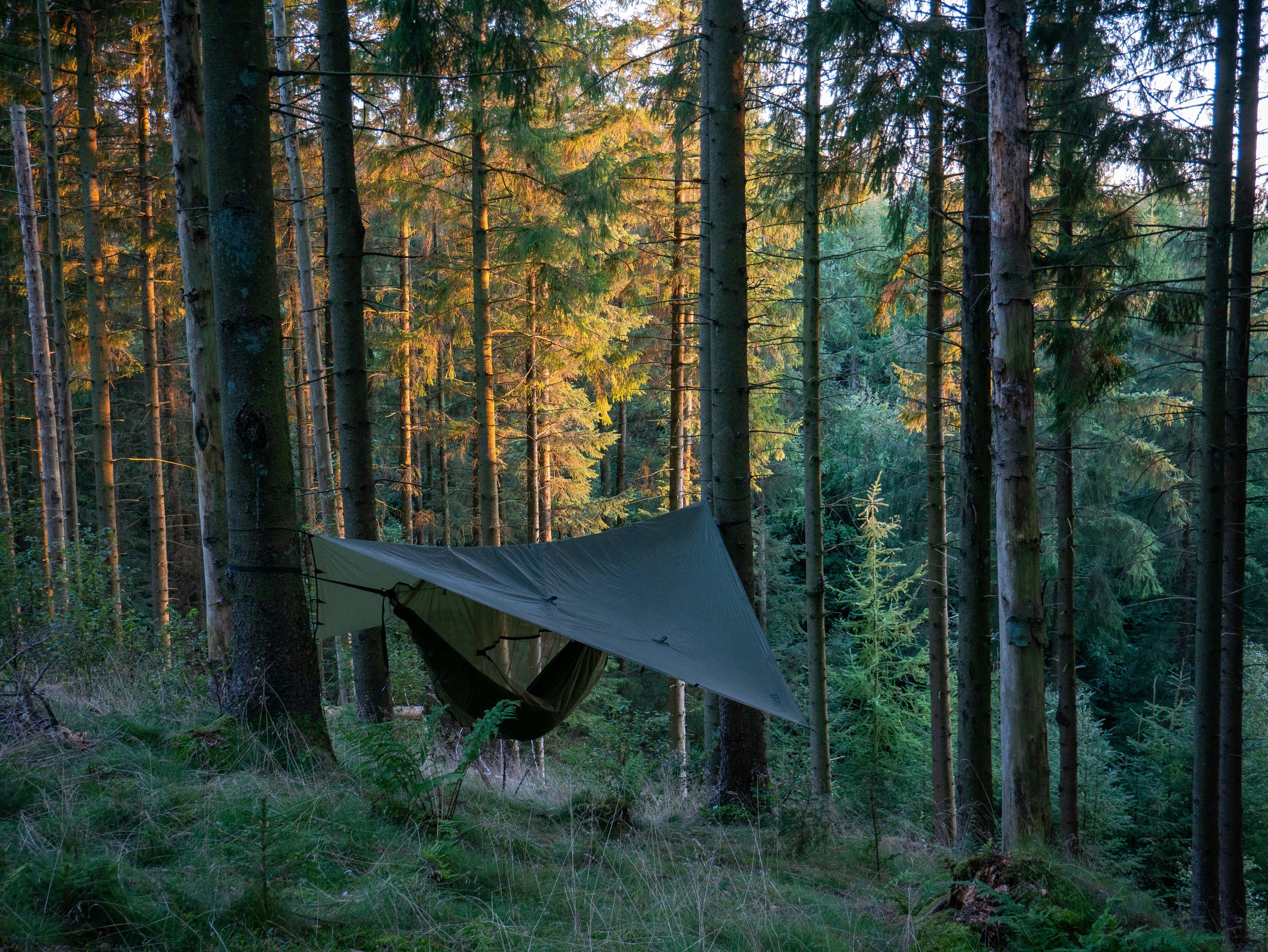Shelter & Sleeping Gear